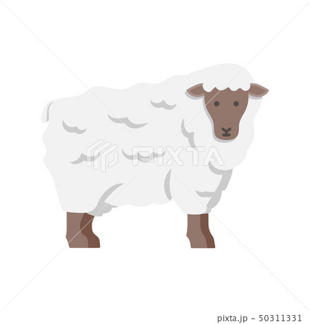 Lamb, sheep icon. Vector illustration 50311331