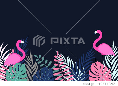 Cute Pink Flamingo Summer Background Vector Illustration Cute Pink Flamingo Summer Background Vector Illustration 50311347