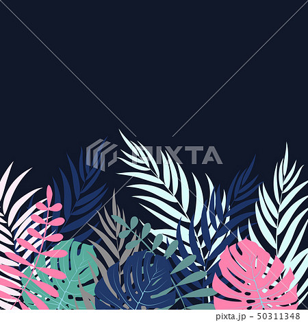 Beautifil Palm Tree Leaf  Silhouette Background Vector Illustration 50311348
