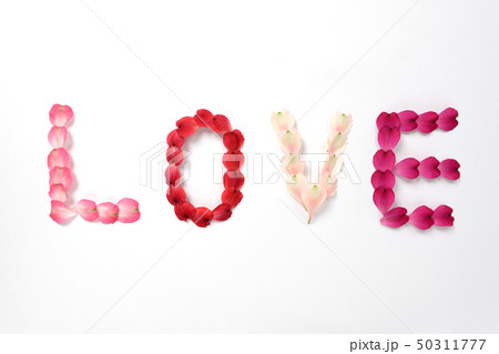 The word Love made from petals of Alstroemeria The word Love made from petals of Alstroemeria 50311777