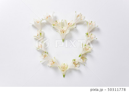 The heart shape made from flowers of Alstroemeria The heart shape made from flowers of Alstroemeria 50311778