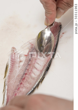 【鯵　三枚おろし】 50311963