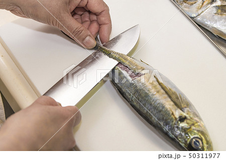 【鯵 三枚おろし】 【鯵 三枚おろし】 50311977