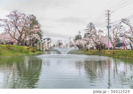 春の新庄城跡の風景 春の新庄城跡の風景 50312524