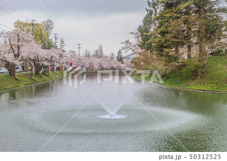 春の新庄城跡の風景 春の新庄城跡の風景 50312525