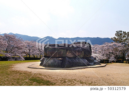 【奈良県・特別史跡】石舞台古墳と満開の桜 【奈良県・特別史跡】石舞台古墳と満開の桜 50312579
