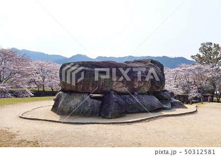 【奈良県・特別史跡】石舞台古墳と満開の桜 50312581