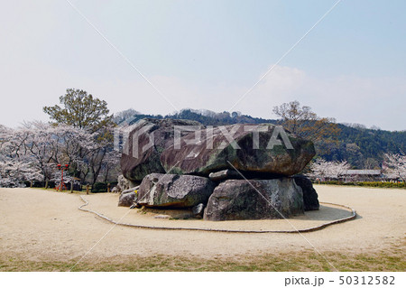 【奈良県・特別史跡】石舞台古墳と満開の桜 50312582
