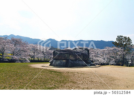 【奈良県・特別史跡】石舞台古墳と満開の桜 【奈良県・特別史跡】石舞台古墳と満開の桜 50312584