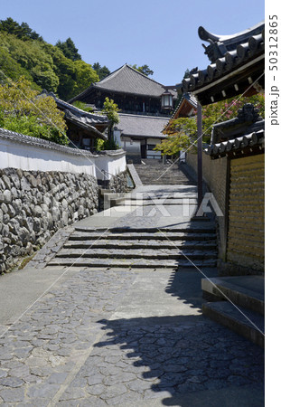 東大寺　参道 50312865