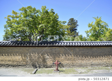 東大寺　土塀 50312871