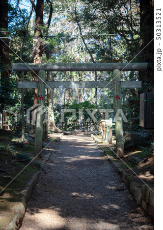 鹿島神宮 鹿島神宮 50313521