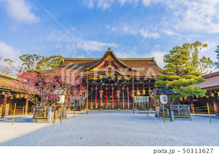 京都 春の北野天満宮 社殿 京都 春の北野天満宮 社殿 50313627