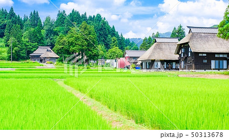 夏の農村風景 (荻ノ島環状集落) 夏の農村風景 (荻ノ島環状集落) 50313678