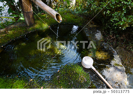 栃木県大田原市　雲岩寺　手水舎 50313775