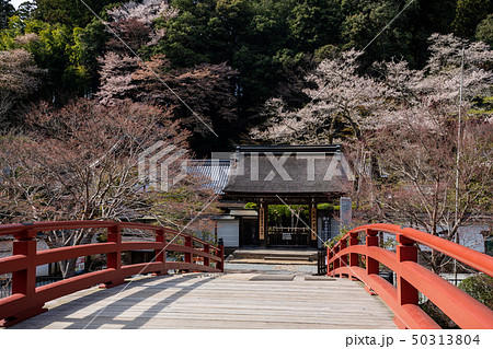 春の室生寺 春の室生寺 50313804