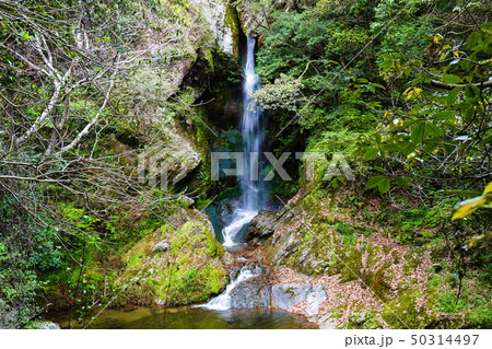 虹の滝（雌滝）　（香川県三木町） 50314497