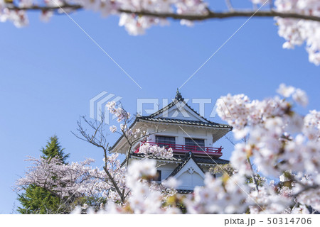 涌谷城 城 桜 春 満開 2019年 涌谷城 城 桜 春 満開 2019年 50314706