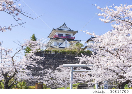 涌谷城 城 桜 春 満開 2019年 涌谷城 城 桜 春 満開 2019年 50314709