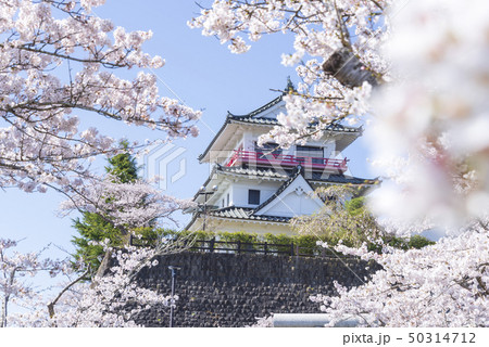 涌谷城 城 桜 春 満開 2019年 涌谷城 城 桜 春 満開 2019年 50314712