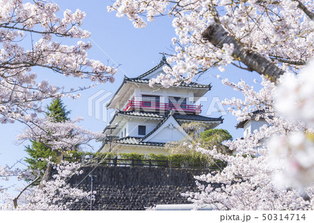 涌谷城 城 桜 春 満開 2019年 涌谷城 城 桜 春 満開 2019年 50314714