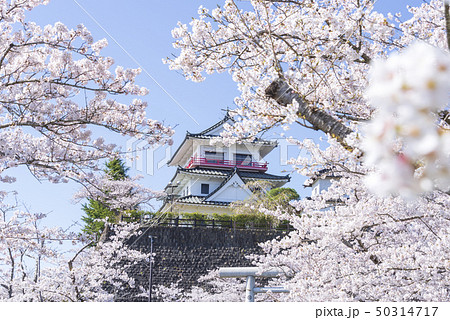 涌谷城 城 桜 春 満開 2019年 涌谷城 城 桜 春 満開 2019年 50314717