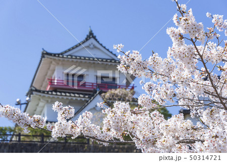涌谷城 城 桜 春 満開 2019年 涌谷城 城 桜 春 満開 2019年 50314721
