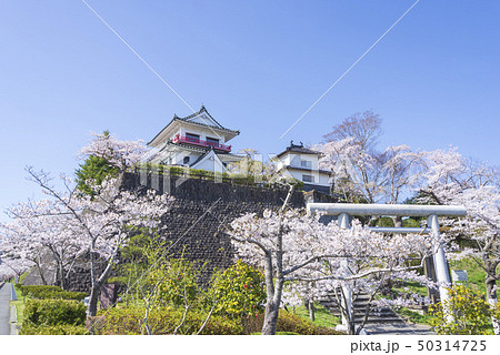 涌谷城 城 桜 春 満開 2019年 涌谷城 城 桜 春 満開 2019年 50314725