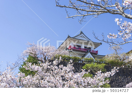 涌谷城 城 桜 春 満開 2019年 涌谷城 城 桜 春 満開 2019年 50314727