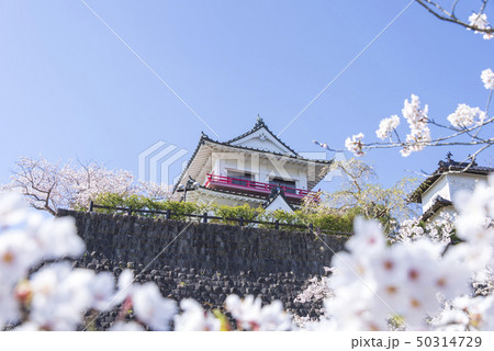 涌谷城　城　桜　春　満開　2019年 50314729