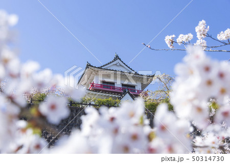 涌谷城　城　桜　春　満開　2019年 50314730