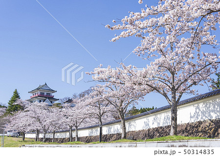 涌谷城 桜 春 塀 桜並木 2019年 涌谷城 桜 春 塀 桜並木 2019年 50314835