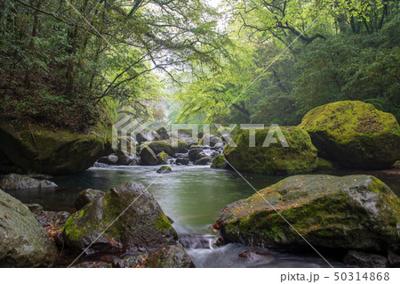 風景 50314868