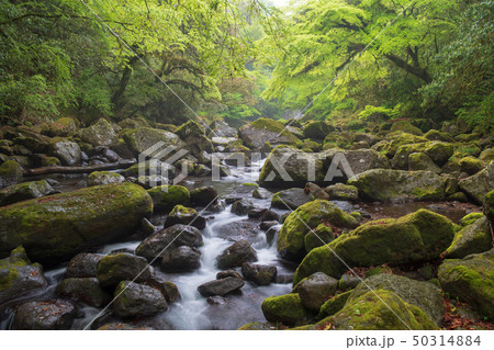 風景 風景 50314884
