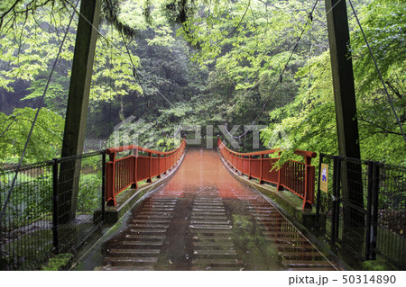 風景 風景 50314890