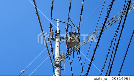鳥よけ対策をした電柱と電線１ 50314962