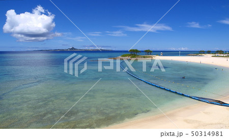 海洋博記念公園エメラルドビーチ1 海洋博記念公園エメラルドビーチ1 50314981