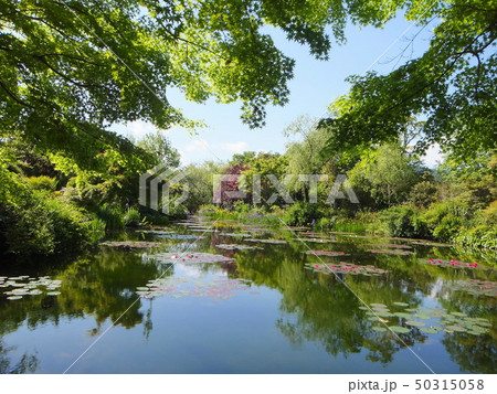 モネの庭 モネの庭 50315058