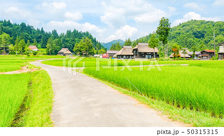 夏の農村風景 （荻ノ島環状集落） 50315315