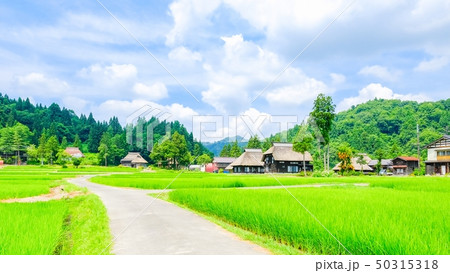 夏の農村風景 (荻ノ島環状集落) 夏の農村風景 (荻ノ島環状集落) 50315318