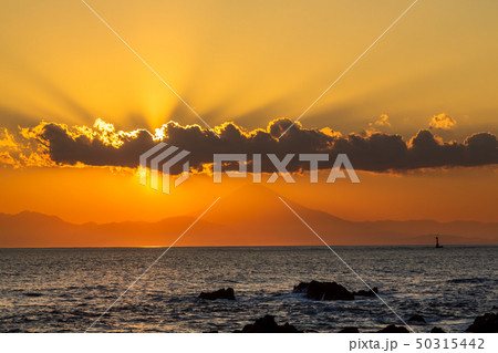 荒崎海岸Sunset 富士山 荒崎海岸Sunset 富士山 50315442