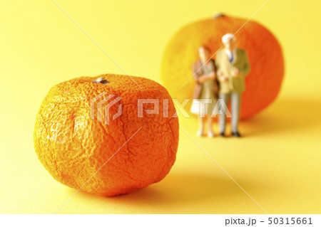 老人と蜜柑 50315661