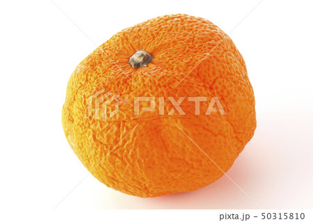 しわしわみかん しわしわみかん 50315810