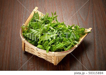 ふじな 50315894