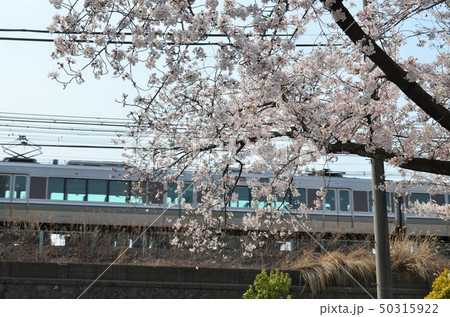 本庄公園にて 本庄公園にて 50315922
