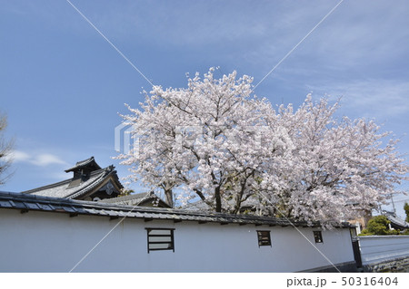 【滋賀県　東近江市】五箇荘金堂の町並み 50316404
