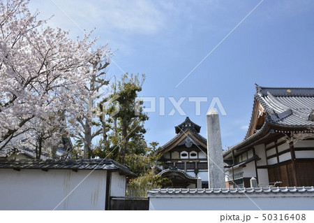 【滋賀県 東近江市】五箇荘金堂の町並み 【滋賀県 東近江市】五箇荘金堂の町並み 50316408