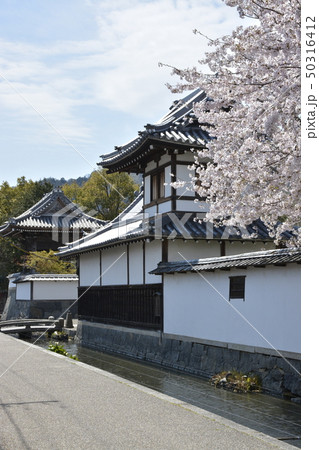【滋賀県 東近江市】五箇荘金堂の町並み 【滋賀県 東近江市】五箇荘金堂の町並み 50316412