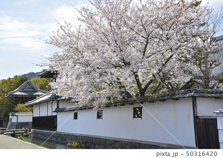 【滋賀県 東近江市】五箇荘金堂の町並み 【滋賀県 東近江市】五箇荘金堂の町並み 50316420