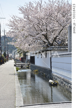 【滋賀県　東近江市】五箇荘金堂の町並み 50316423